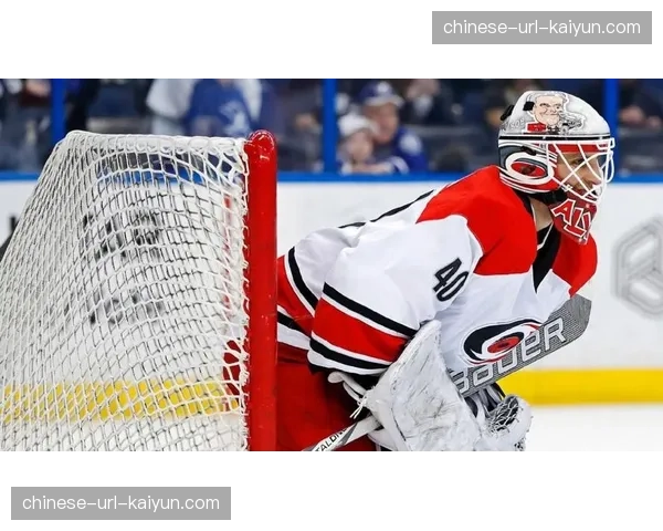 观点:NHL增加球员头盔保护面积的新规是否影响了比赛观赏性?